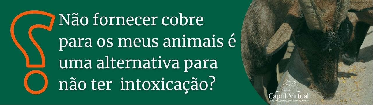 Não vou fornecer cobre para os meus animais para não ter risco de intoxicação. Consigo fazer isso? 
