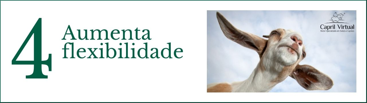 # 4 Aumenta flexibilidade