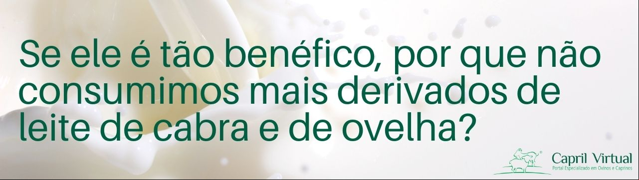 se ele é tão benéfico, por que não consumimos mais derivados de leite de cabra e de ovelha? 